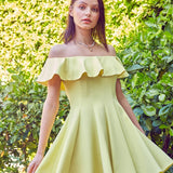 A Line Ruffle Dress
