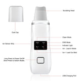 Ultrasonic Facial Machine