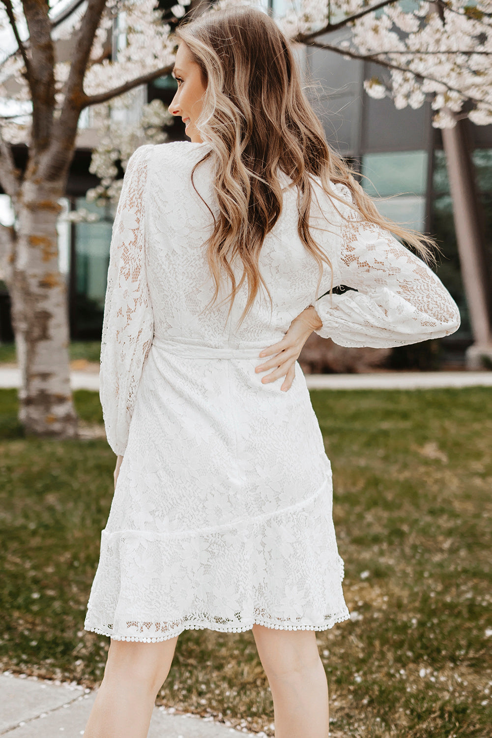 Puff Sleeve Belted Lace Dress